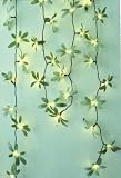 Mistletoe/Foliage Flower Light String - Green - 40 Bulb