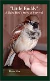Little Buddy - a Baby Bird's Story of Survival