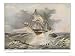 British Sailing Warship Depicted Encountering Heavy Seas off the Coast of Honduras Art Giclee Poster Print, 24x18