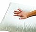 Dust Mite and Allergen Proof Pillow Encasing (Cover); Barrier II (Queen)