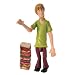 Scooby Doo Action Figure: Shaggy