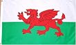 Wales National Country Flag - 3x5foot poly