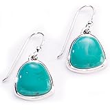 Barse Turquoise High Polish Sterling Silver Frenchwire Earrings