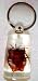 Brown Shield Beetle Lucite Key Chain Insect Stink Bug