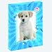 Heftbox A4 Pp Pretty Pets V