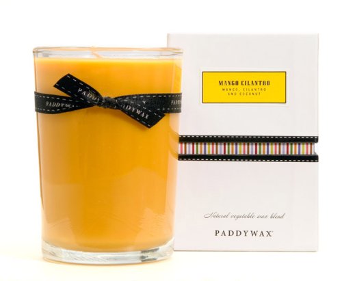Paddywax Classic 8-Ounce Poured Glass Candle, Mango Cilantro