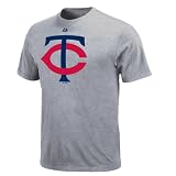 MLB Minnesota Twins Youth Short Sleeve Basic Tee (Steel Heather, Large)