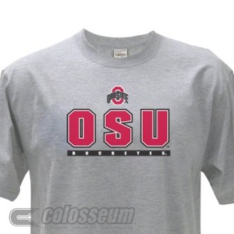 Buy Ohio State Buckeyes Gray Logo T-Shirt by Colosseum Athletics