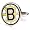 Boston Bruins