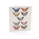 V&A Butterflies Single Greeting Card