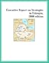 Executive Report on Strategies in Ethiopia, 2000 edition (Strategic Planning Series)