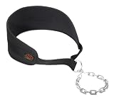 Altus Athletic ANDB Nylon Dip Belt