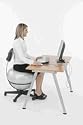Theragear Executive Ball Chair & Free Pump