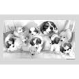 Proud Mom Showing Off Her Pups Animals Art Poster Print, 17x11