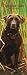 Labrador Retrievers, Chocolate 2009 Slimline Calendar