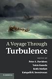 A voyage through turbulence