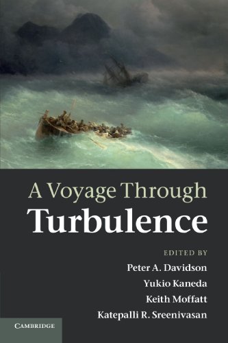 a voyage through turbulence