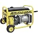McCulloch Generator ? 6.5 HP, 2600 Watt, Model# FG400MK