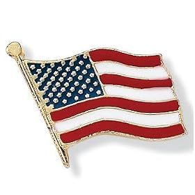 Patriotic Flag Pin