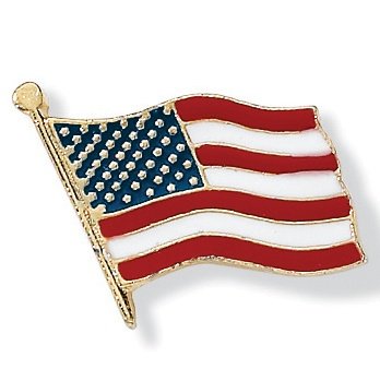 Childrens Toyshop  Jewelry : Patriotic Flag Pin