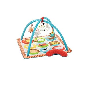 Farmyard Activity Mat