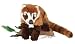 Wildlife / Domestic Animals : Coatimundi Raccoon 13