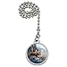 GRAPHICS & MORE Moose in The River Forest Woods Wilderness Ceiling Fan and Light Pull Chain