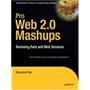 Pro Web 2.0 Mashups: Remixing Data and Web Services