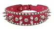 24 Inch Hot Pink Leather Spiked / Studded Dog Collar - M