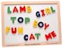 Magnetic Spelling Board Puzzle