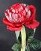 Kitchen & Housewares : Amazing Solar Fibre Optic Flower Light - RED ROSE