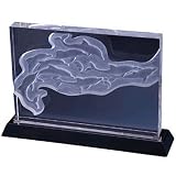 Bluestone Design Crystal Times 9 Dolphins Under the Sea