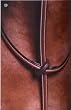 Kincade Raised Martingale Standing [Misc.]