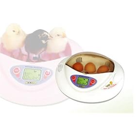 R Com Min Incubator