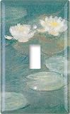 Review Art Plates Decorative Switch Plates  / Single Toggle Switch Plate