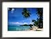 Beach at Pagdanan Bay, Port Barton, Palawan Island, Palawan, Philippines Framed Photographic Poster Print by Mark Daffey, 22x17