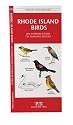 Rhode Island Birds: An Introduction to Familiar Species (State Nature Guides)