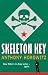 Skeleton Key (Alex Rider 3)