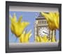 Da-Lite Multiple Aspect Ratio Video - Letterbox Format 100" Diagonal Fixed Frame Vertical Masking System with Pro-Trim