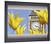 Da-Lite Multiple Aspect Ratio Video - Letterbox Format 96 Diagonal Fixed Frame Vertical Masking System with Pro-Trim