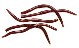 Foodsource 3 Earthworms Color/Scent: Earthworm; Garlic/Salt