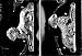 Dog GOLDEN RETRIEVER Large Chocolate Candy or Soap 2 Mold Set