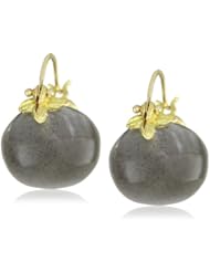 Gabrielle Sanchez 11x13mm Smooth Grey Moonstone Rondelle Flyer Earrings