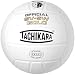 Sporting Goods : Tachikara SV-5W Gold Premium Leather Indoor Volleyball