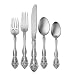 Oneida Michelangelo 5-Piece Place Setting, Service for 1