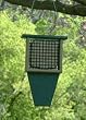 Suet Feeder with Tail Prop