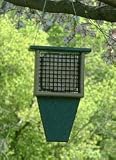 Suet Feeder with Tail Prop