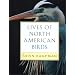 Lives of North American Birds