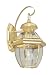 Livex Lighting 2051-02 Monterey 1 Light Outdoor Polished Brass Finish Solid Brass Wall Lantern  with Clear Beveled Glass