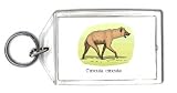 Keychain with africa, spotted, hyena, crocuta, animal, dog